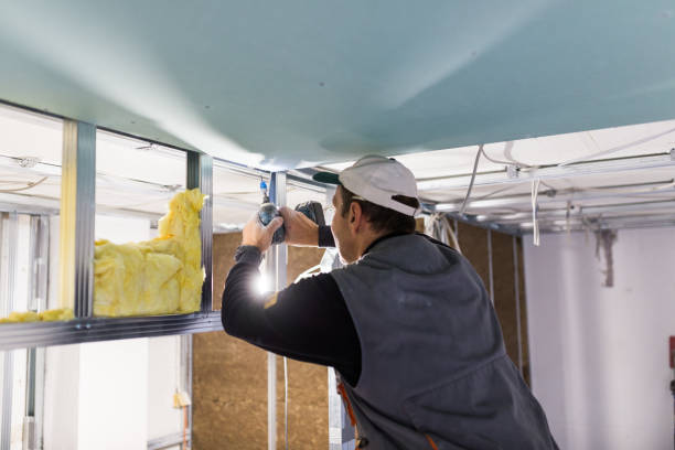 Best Radiant Barrier Insulation  in Bay Harbor Islands, FL